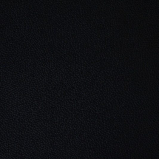 Black Forest, Canopy, Spilltop® Water Resistance, Hospitality Leather Hide