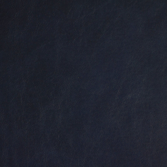 Chamonix, Roquefort, Spilltop® Water Resistance, Hospitality Leather Hide