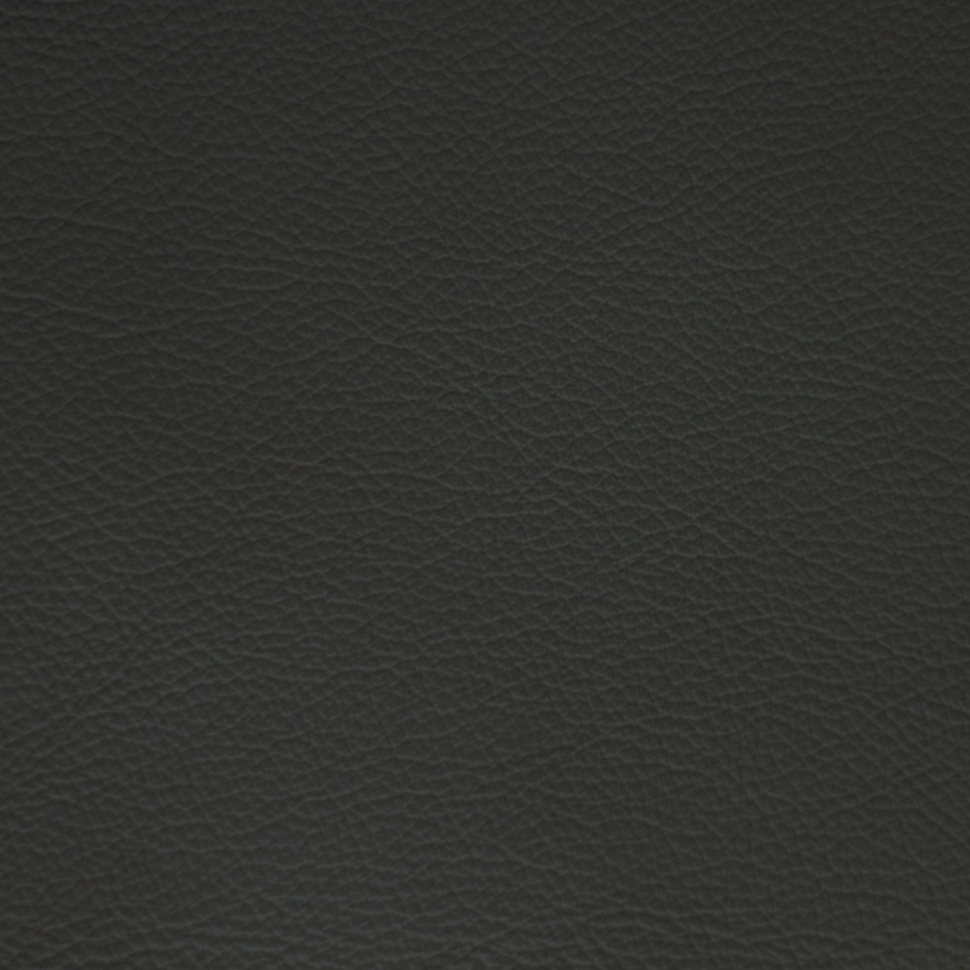 Diva, Nimbus, Iconic® Antimicrobial & Cleanable, Hospitality Leather Hide