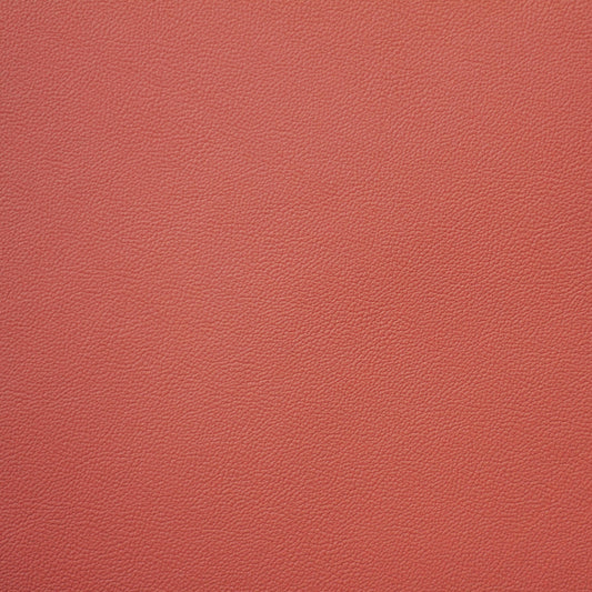 Empire, Brick Dust, Iconic® Antimicrobial & Cleanable, Hospitality Leather Hide