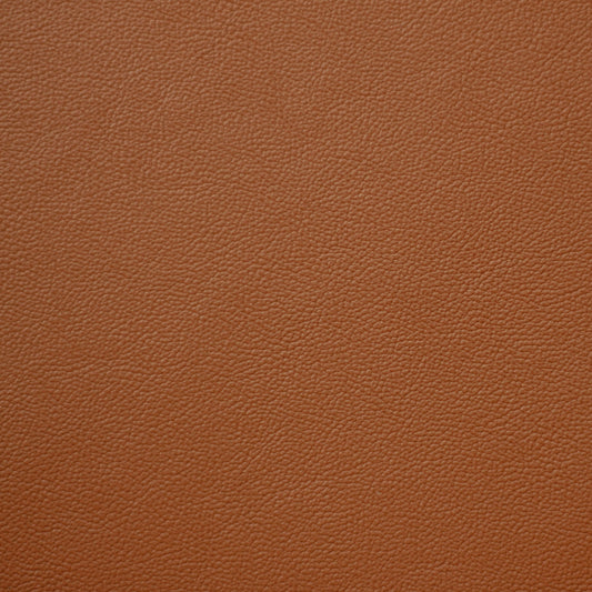 Empire, Chariot, Iconic® Antimicrobial & Cleanable, Hospitality Leather Hide