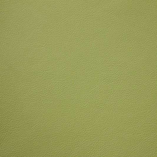 Empire, Mantis, Iconic® Antimicrobial & Cleanable, Hospitality Leather Hide