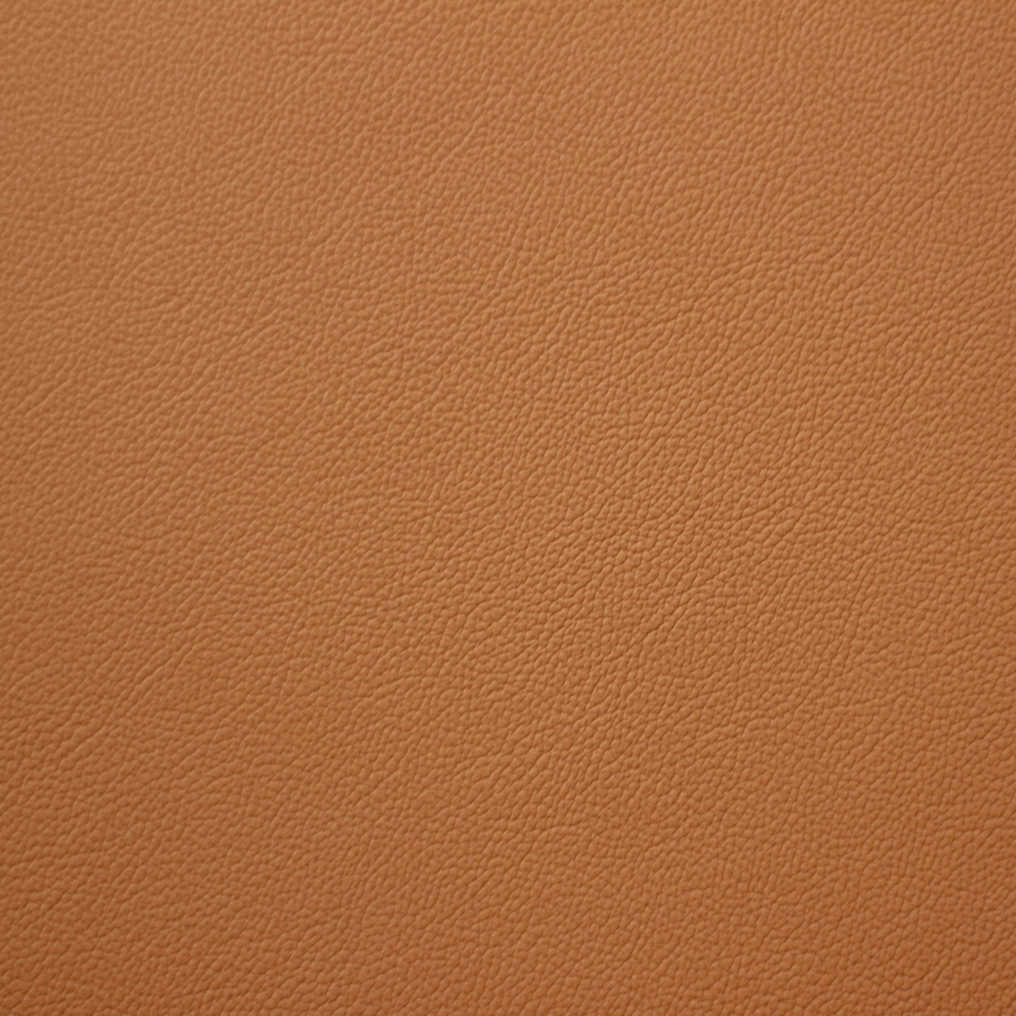 Empire, Paddington, Iconic® Antimicrobial & Cleanable, Hospitality Leather Hide