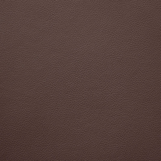 Empire, Palisade, Iconic® Antimicrobial & Cleanable, Hospitality Leather Hide