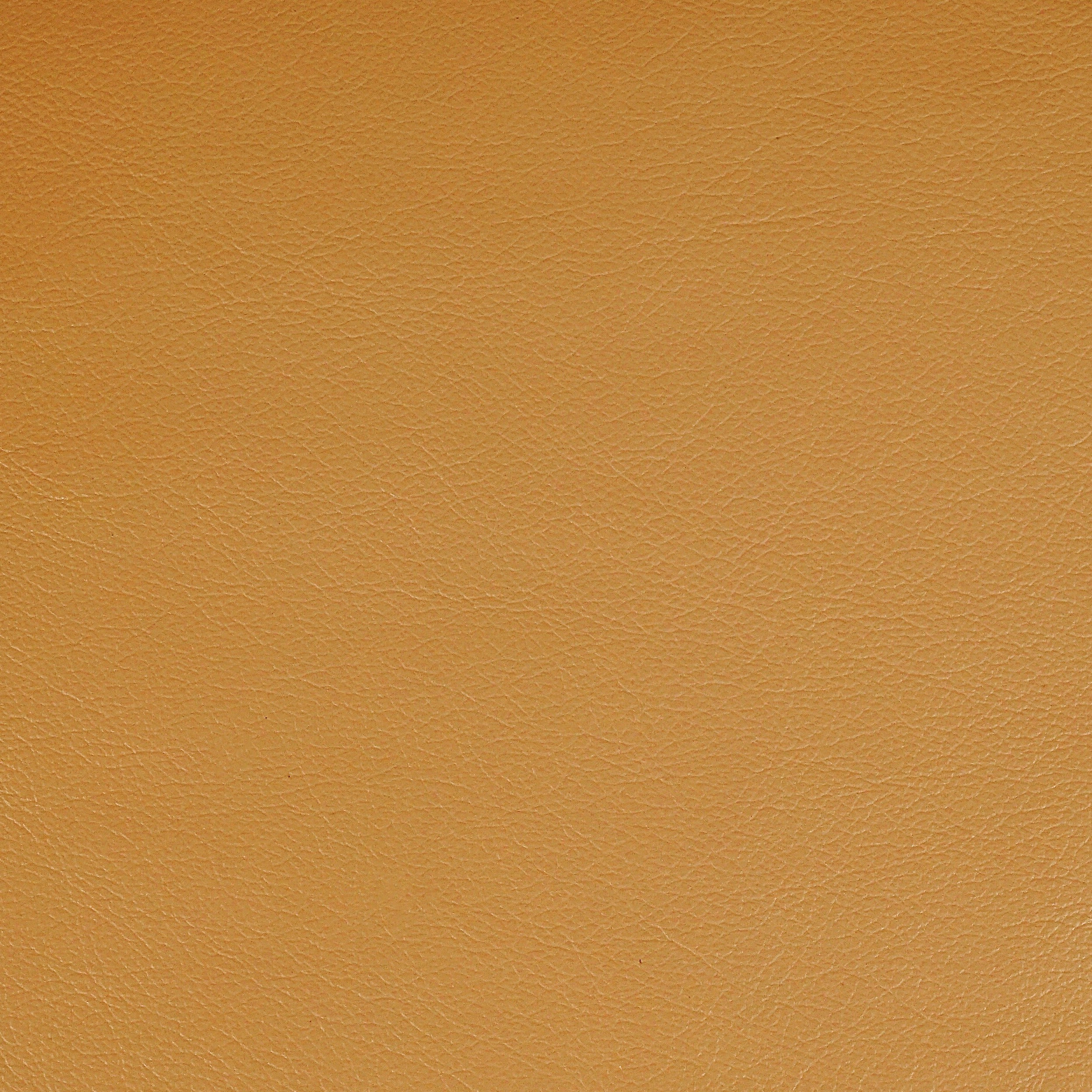 Kismet, Bishop, Iconic® Antimicrobial & Cleanable, Hospitality Leather Hide