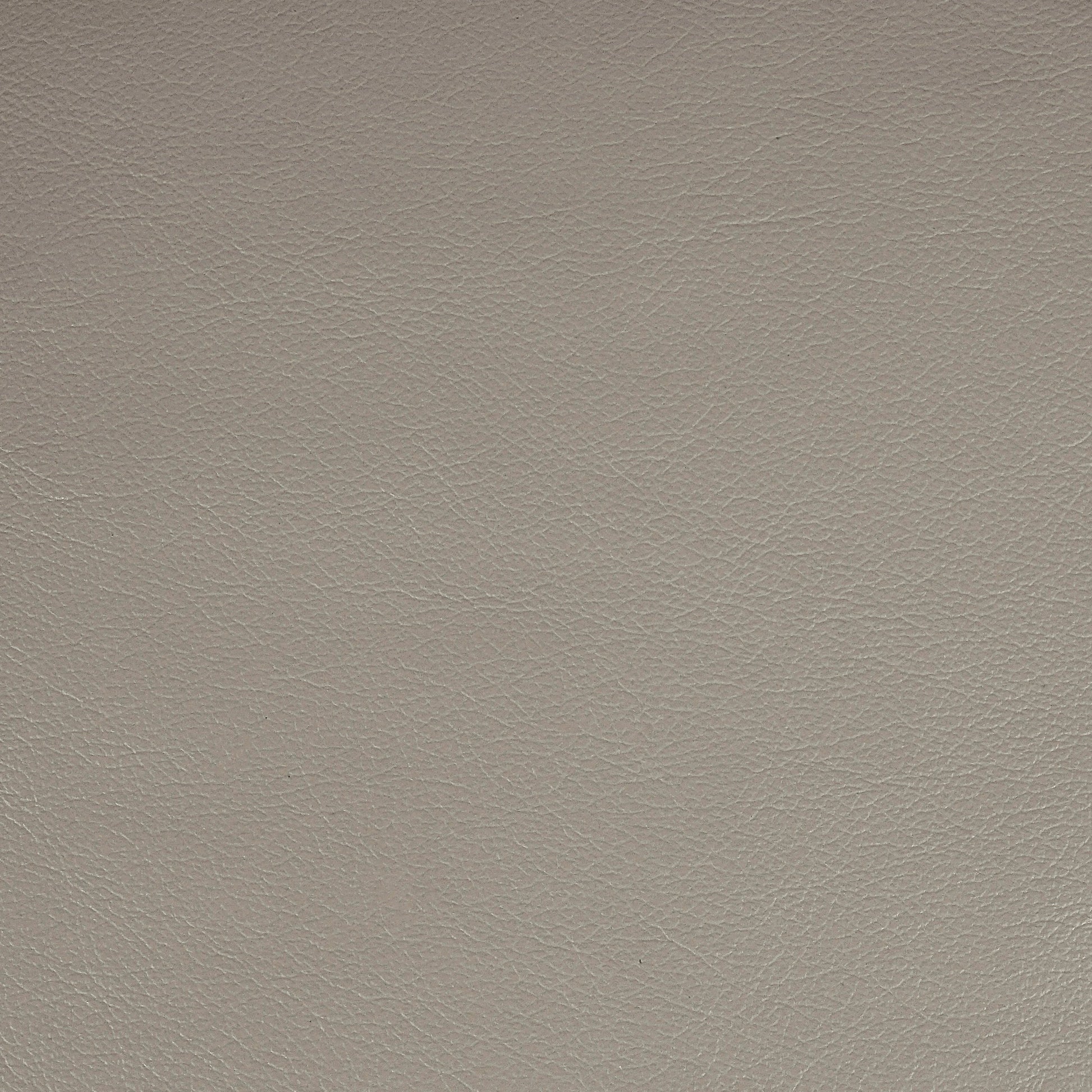 Kismet, Spalding, Iconic® Antimicrobial & Cleanable, Hospitality Leather Hide