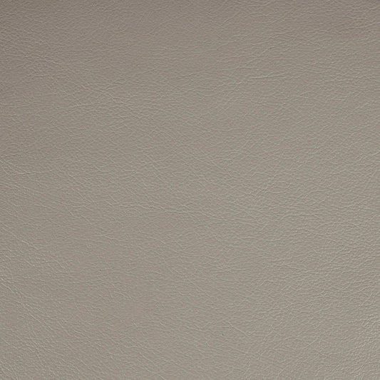 Kismet, Spalding, Iconic® Antimicrobial & Cleanable, Hospitality Leather Hide