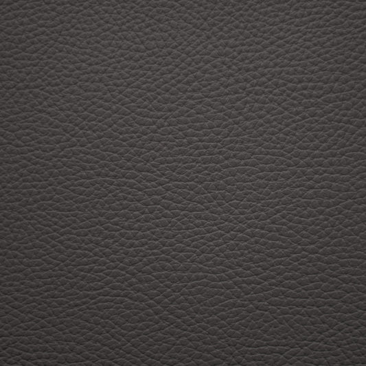 Mystique, Thunderbolt, Iconic® Antimicrobial & Cleanable, Hospitality Leather Hide