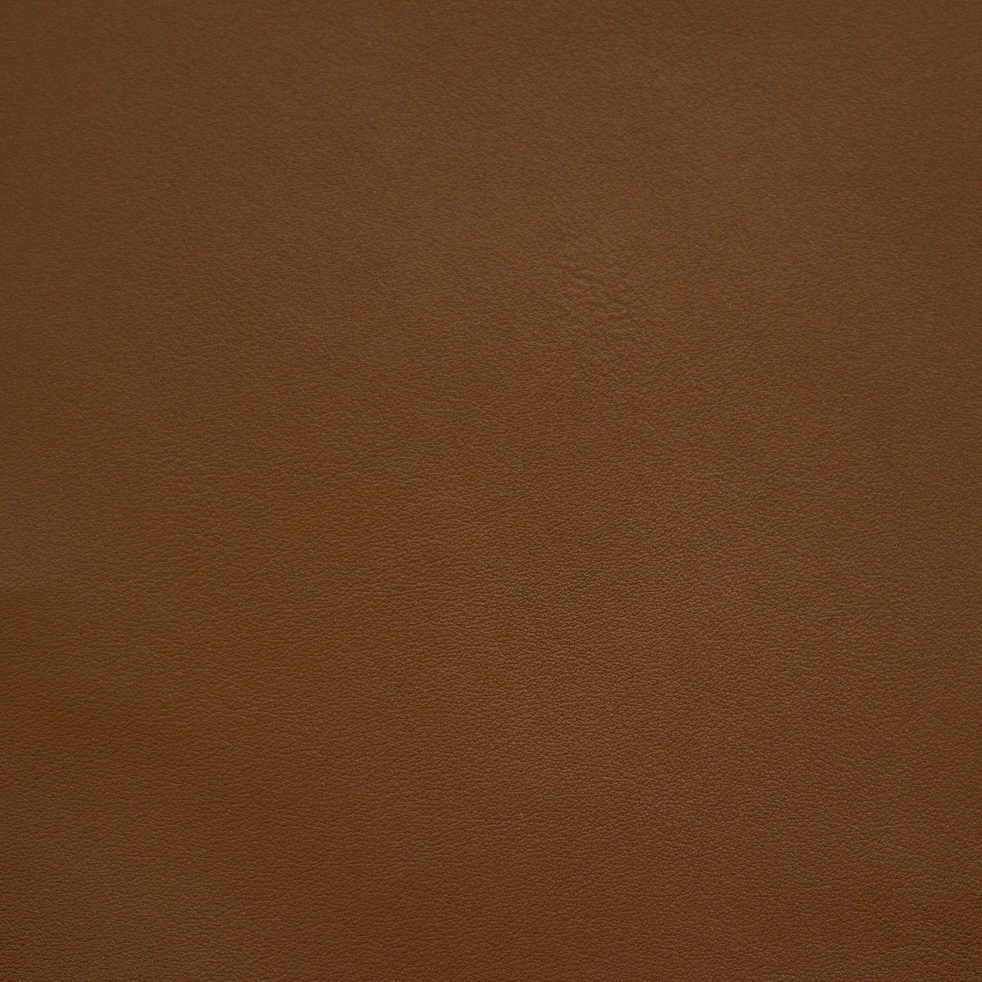 Renaissance Cedar