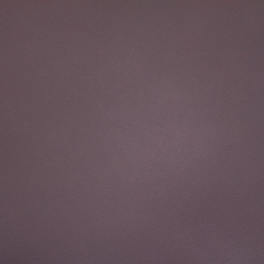 Renaissance, Jazz, Iconic® Antimicrobial & Cleanable, Hospitality Leather Hide