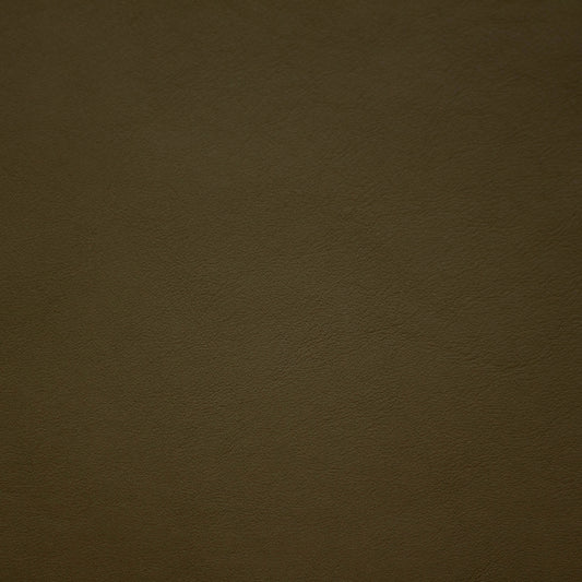 Renaissance, Pesto, Iconic® Antimicrobial & Cleanable, Hospitality Leather Hide