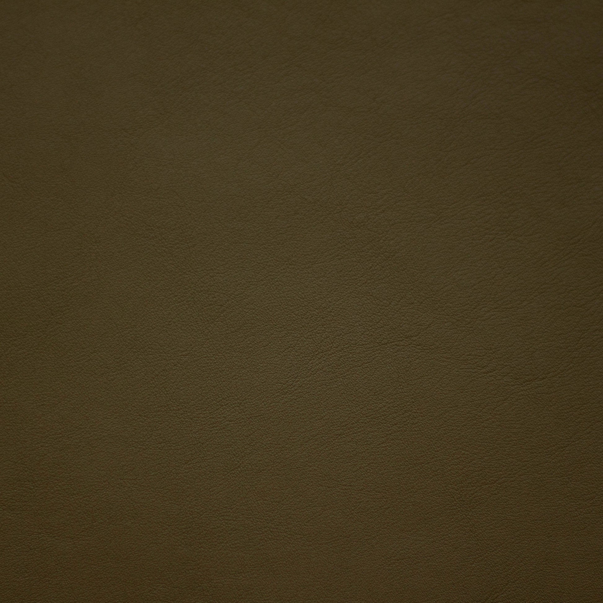 Renaissance, Pesto, Iconic® Antimicrobial & Cleanable, Hospitality Leather Hide