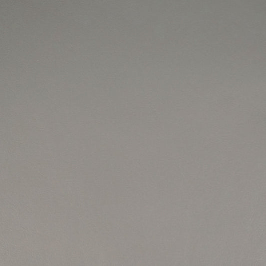 Renaissance, Tungsten, Iconic® Antimicrobial & Cleanable, Hospitality Leather Hide