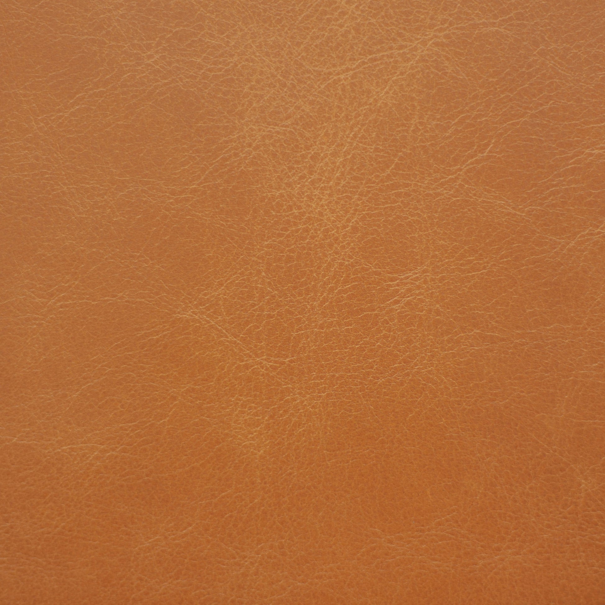 Sierra, Bastille, Spilltop® Water Resistance, Hospitality Leather Hide