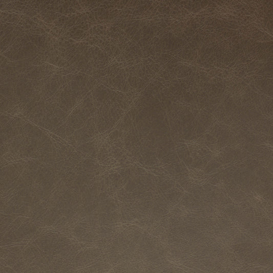 Sierra, Lunar,  Spilltop® Water Resistance, Hospitality Leather Hide