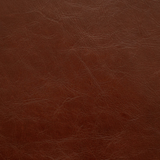 Sierra, Ursa, Spilltop® Water Resistance, Hospitality Leather Hide 