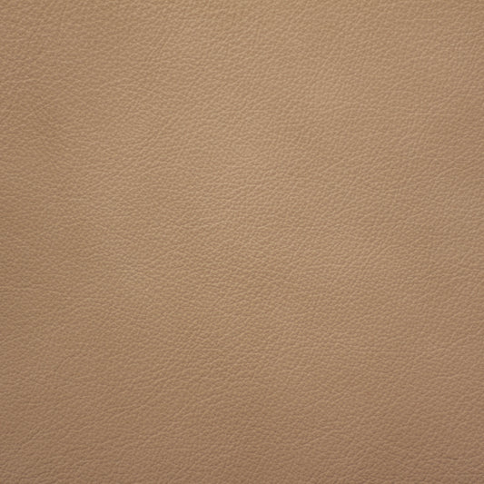 Trattoria, Risotto, Spilltop® Water Resistance, Hospitality Leather Hide