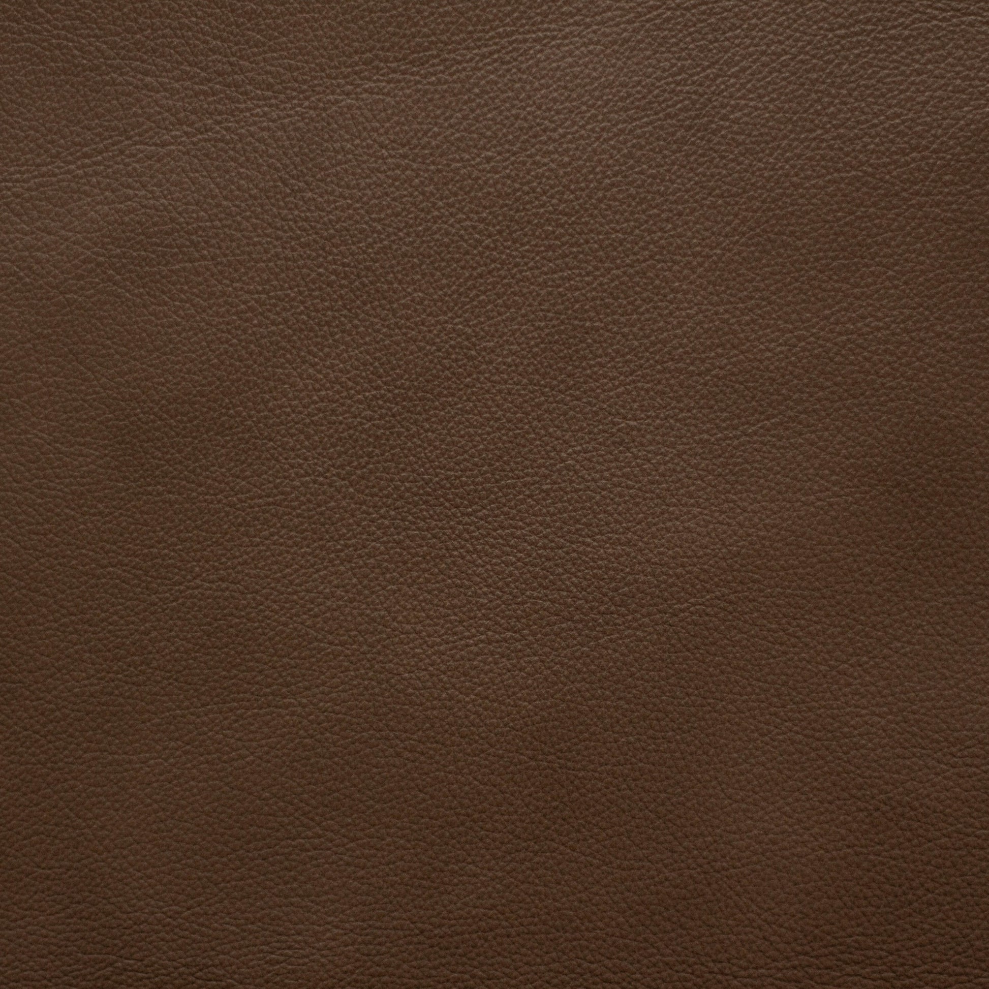 Trattoria, Tiramisu,  Spilltop® Water Resistance, Hospitality Leather Hide 