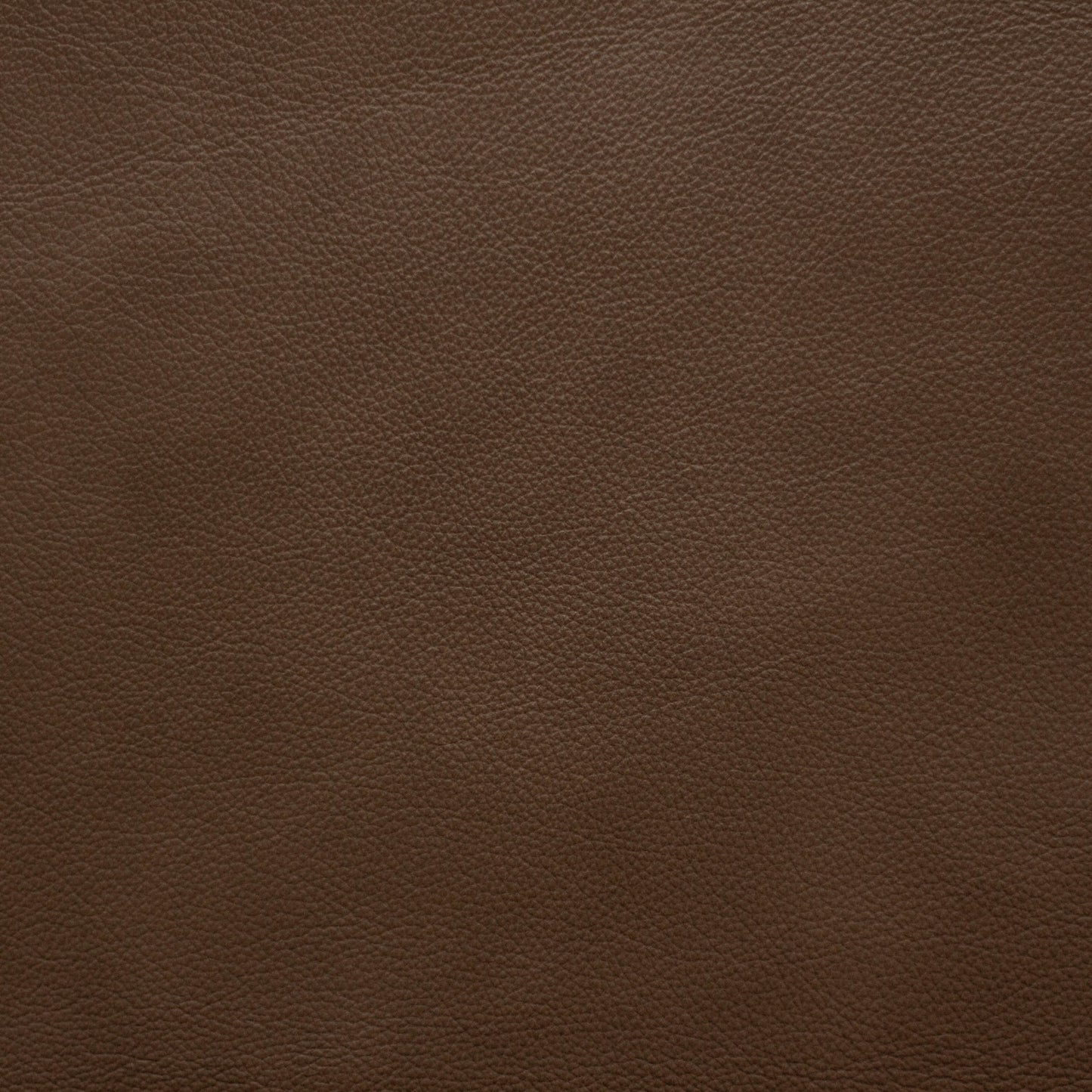 Trattoria, Tiramisu,  Spilltop® Water Resistance, Hospitality Leather Hide 