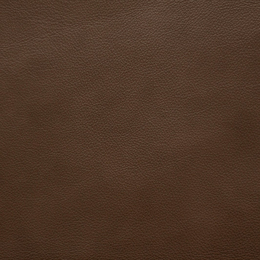 Trattoria, Tiramisu,  Spilltop® Water Resistance, Hospitality Leather Hide 